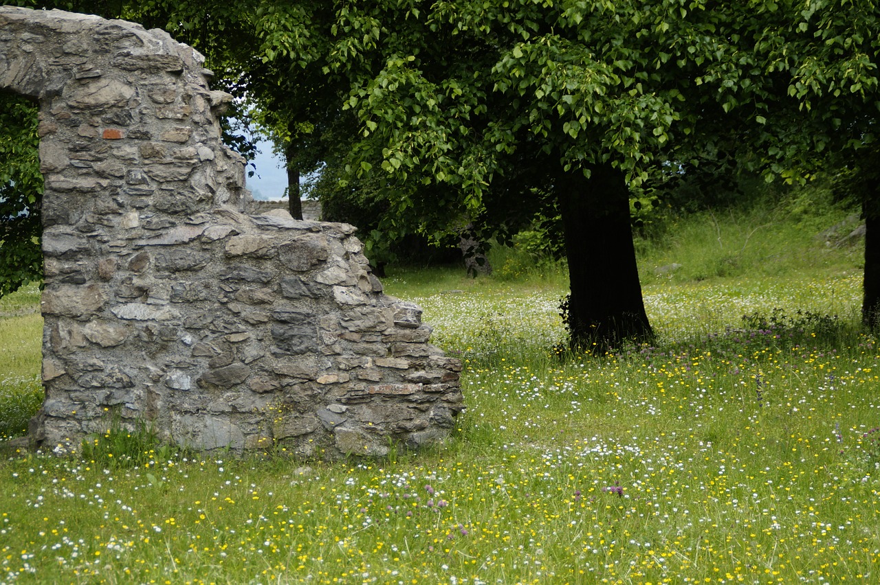 summer castle ruin free photo