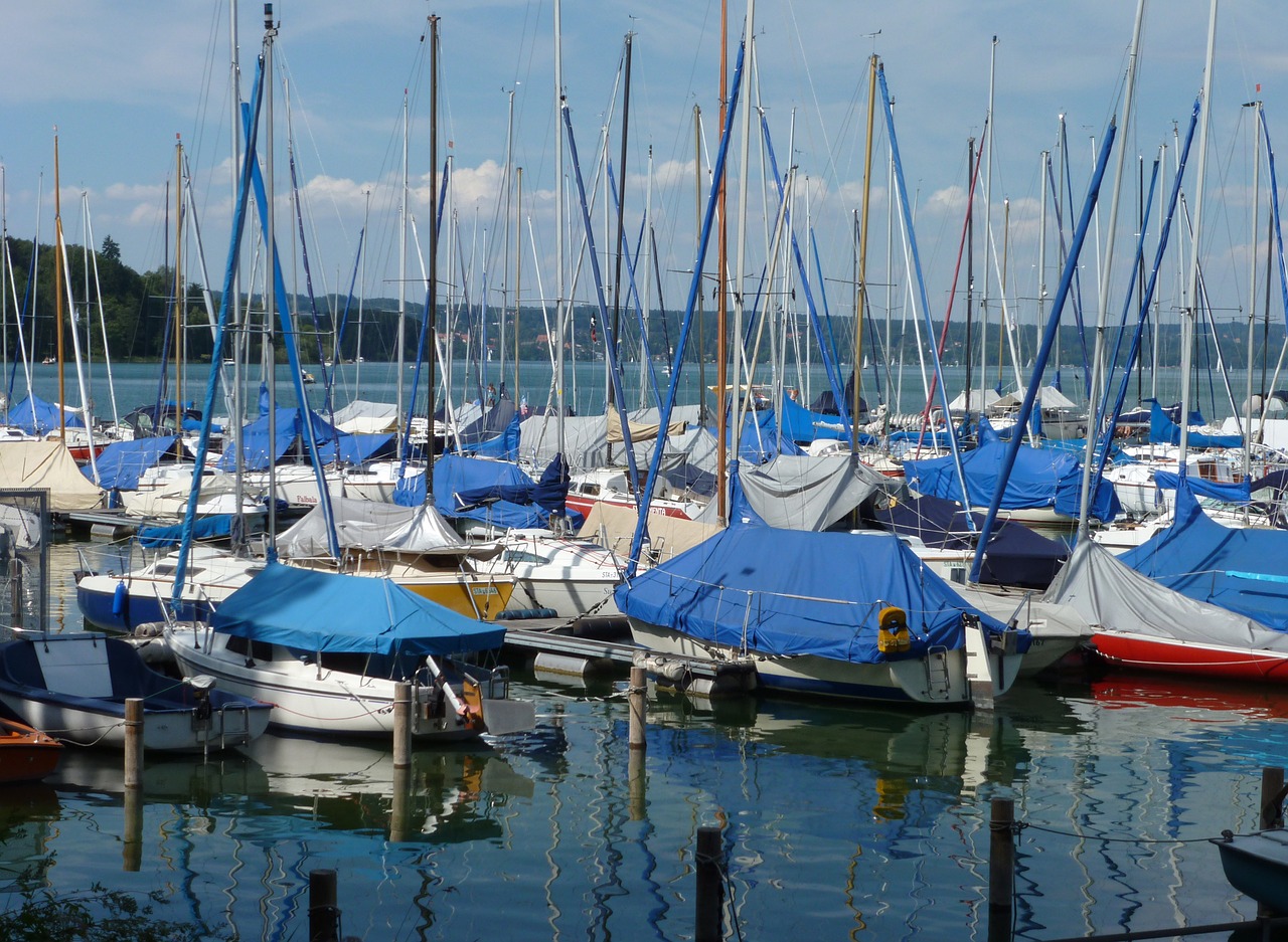 summer lake sailing boats free photo