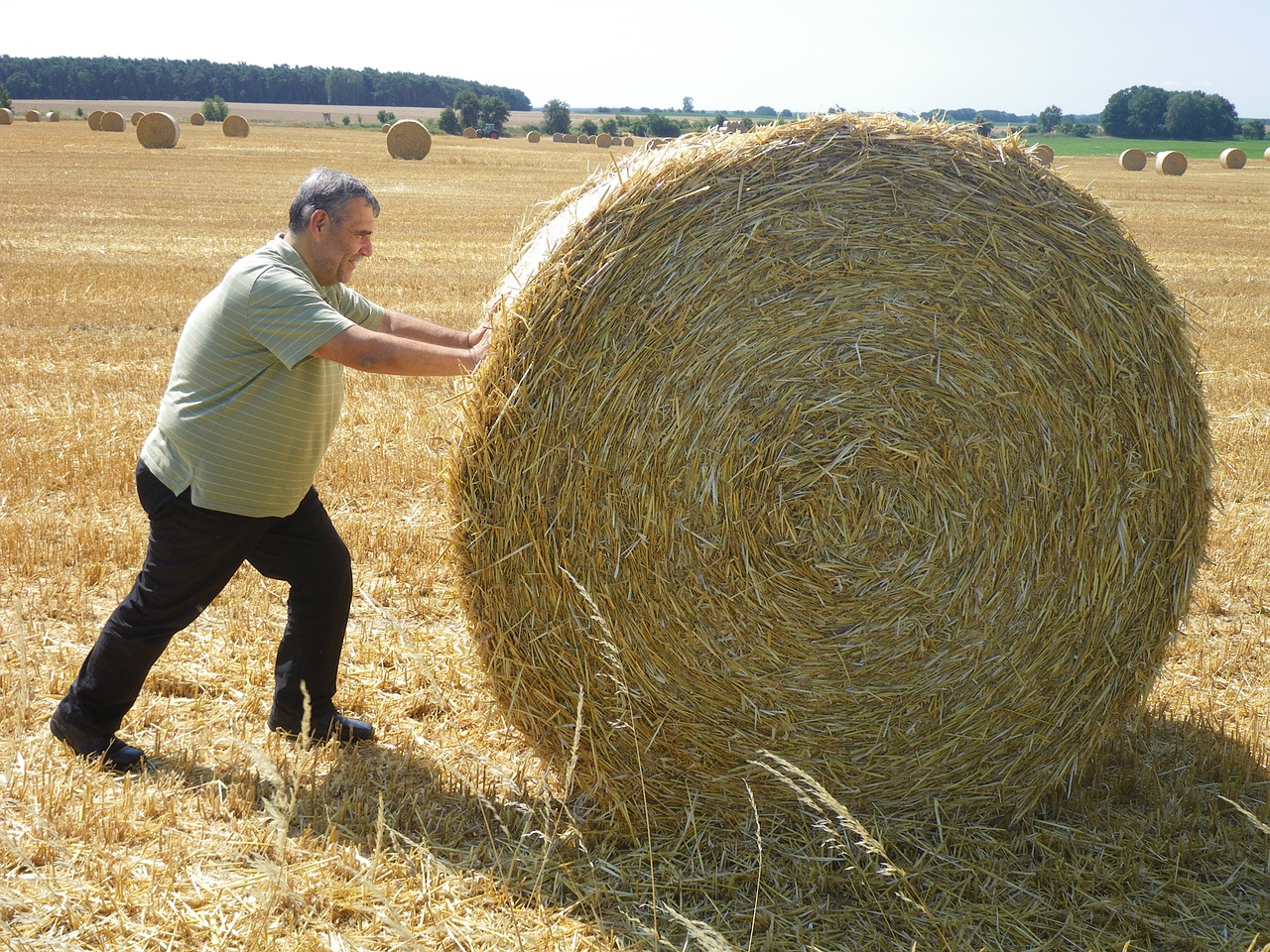 summer work straw free photo