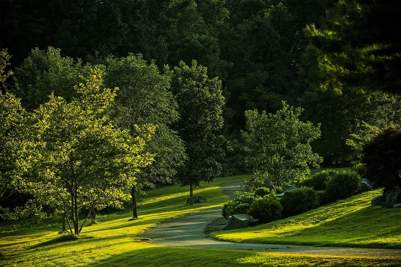 summer park virginia free photo