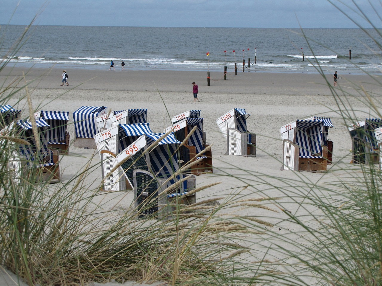 summer beach beach chair free photo