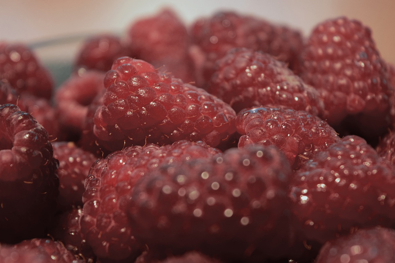 summer raspberries food free photo