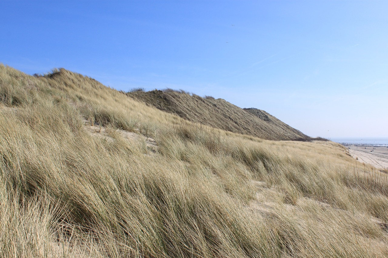 summer dunes coast free photo