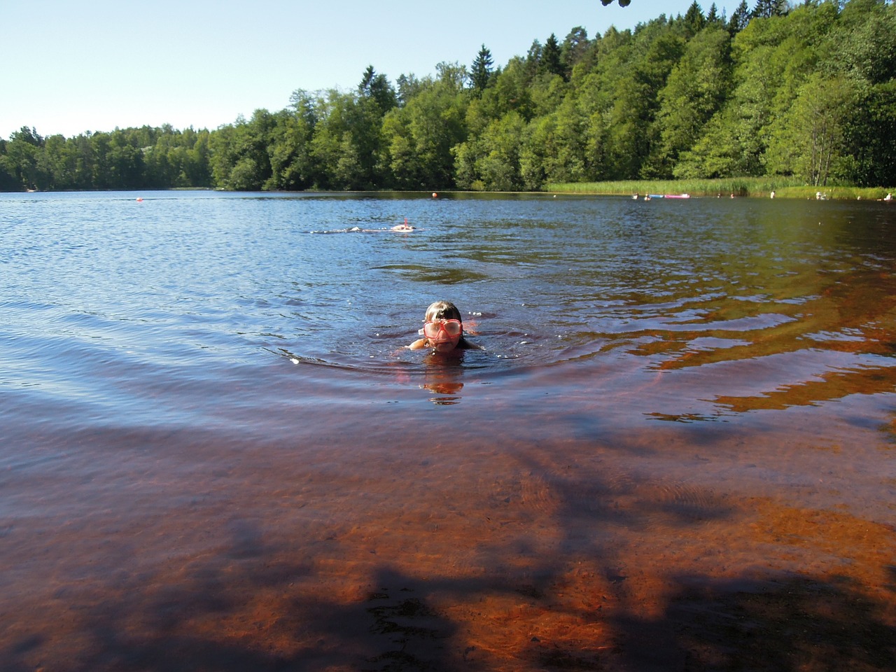 summer girl swimmer free photo