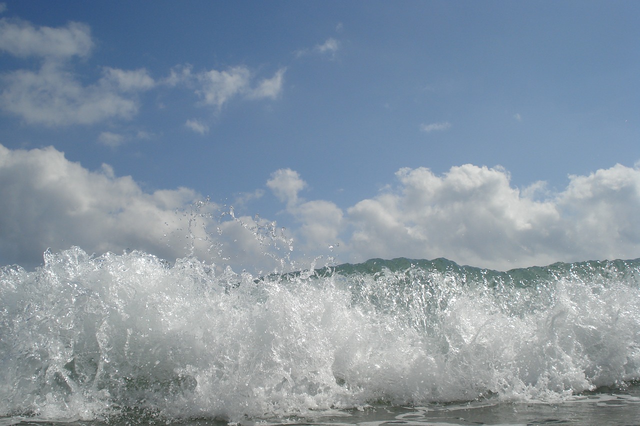 summer wave sea free photo