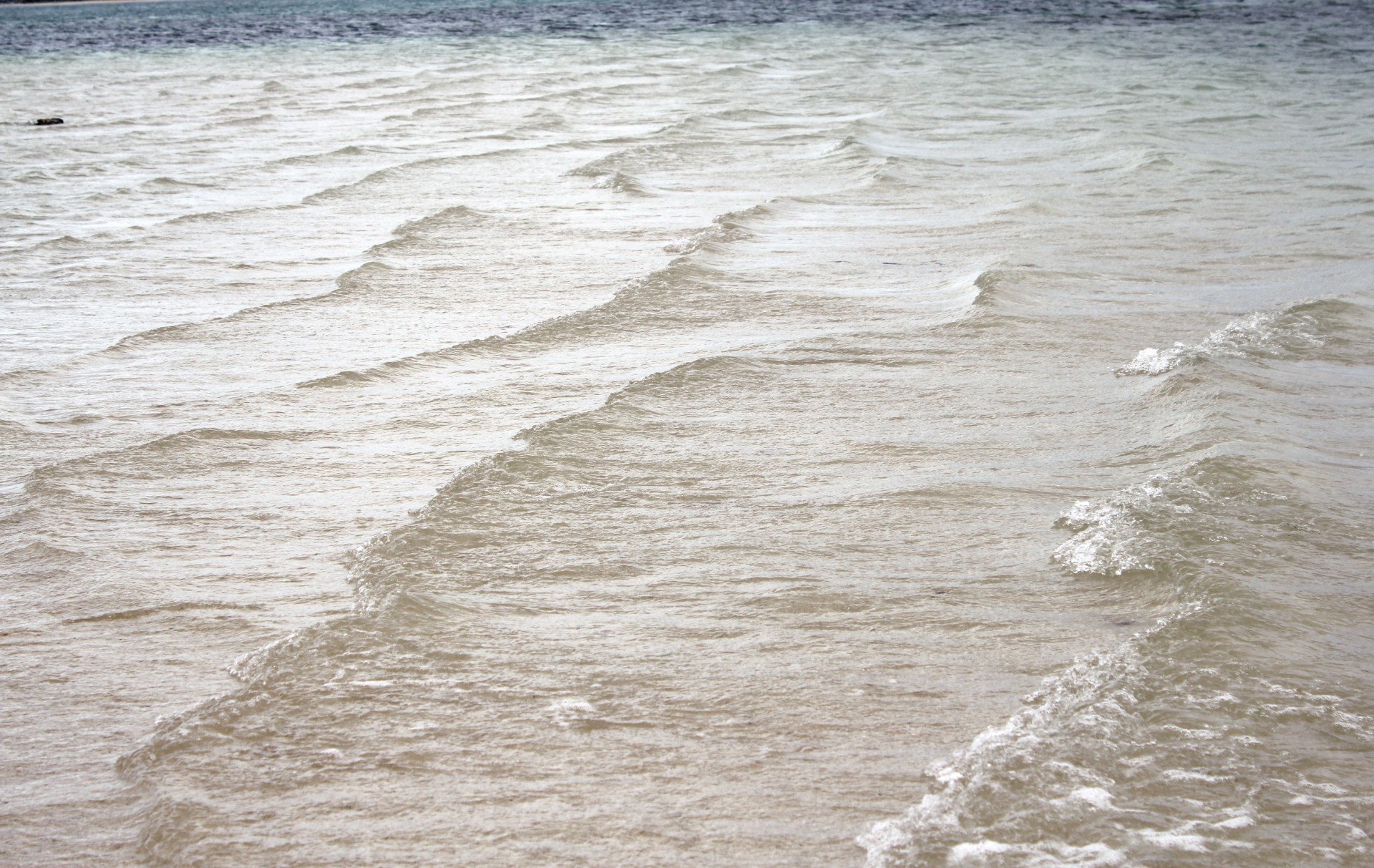small waves white beach beach free photo