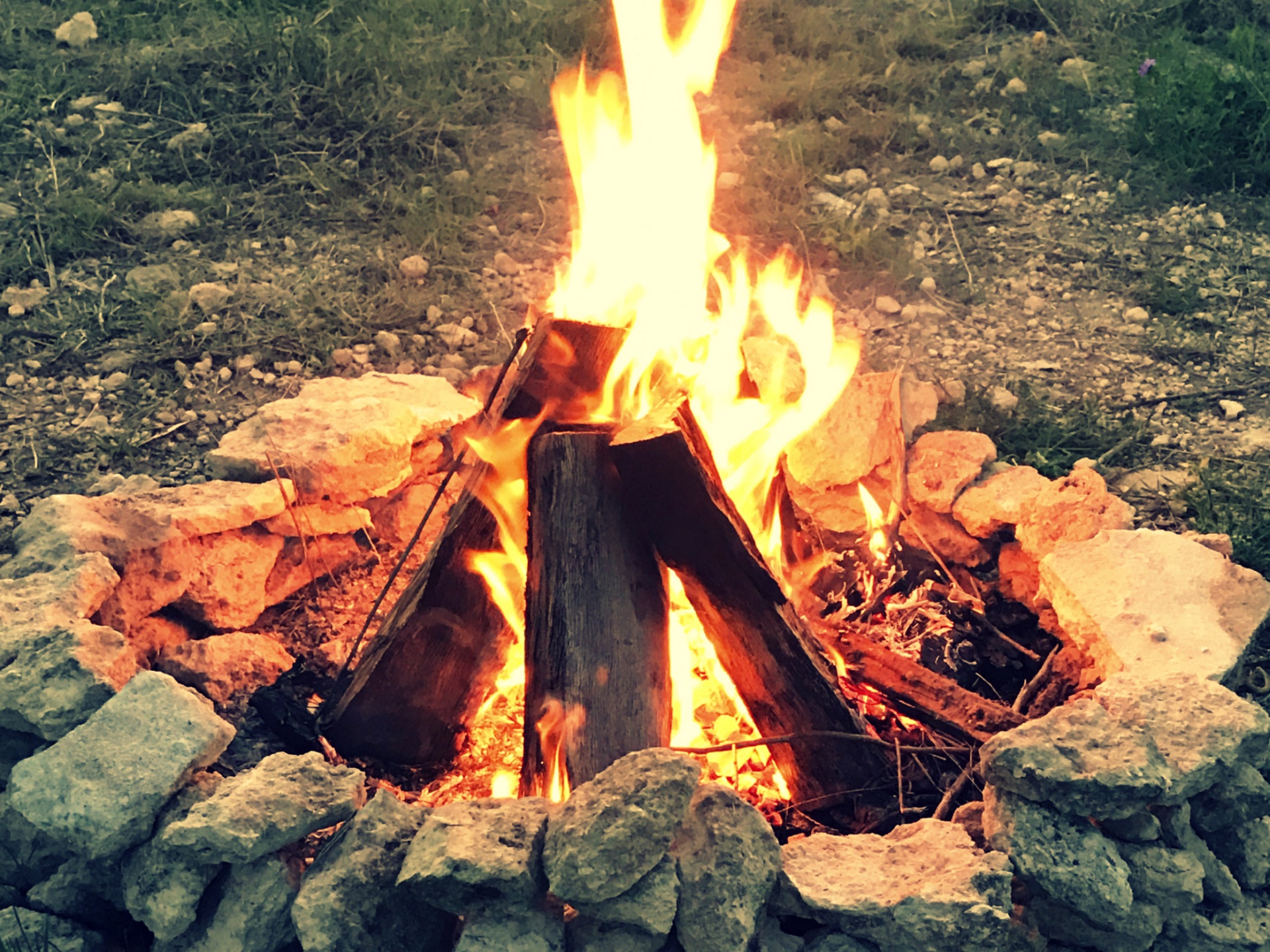 summer campfire fire free photo