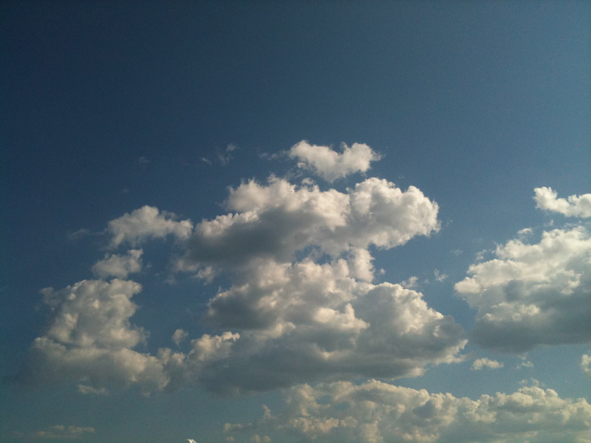 birds sky clouds free photo