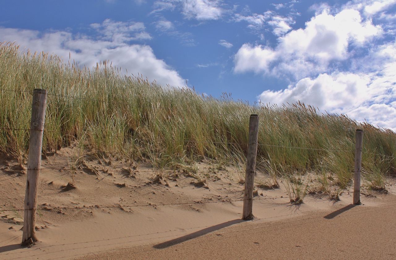 summer day sand landscape wind trails free photo