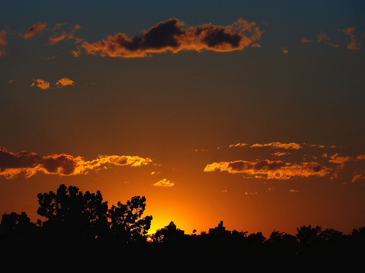 sunset clouds tree free photo