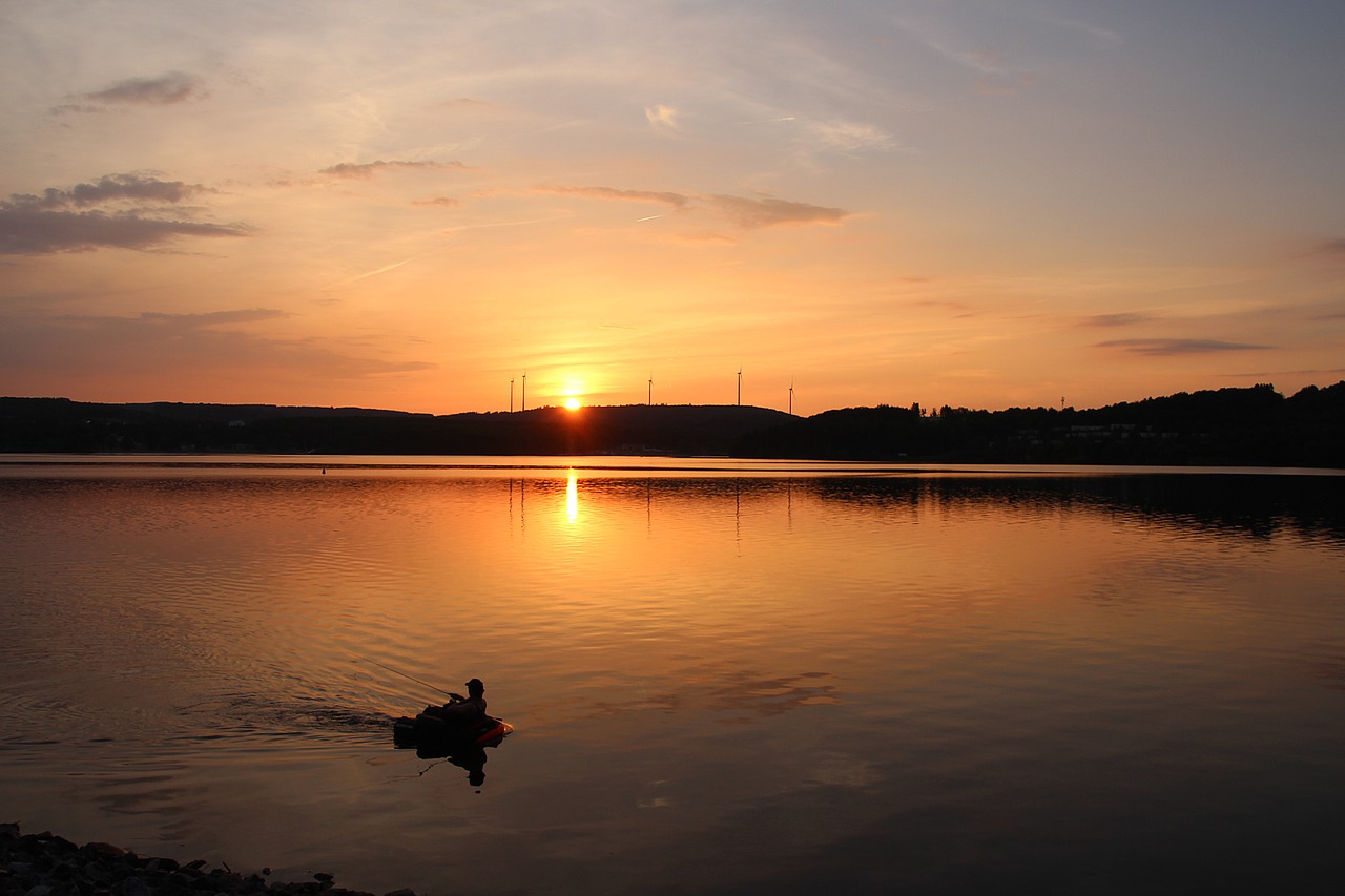 summer evening  sunset  lake free photo