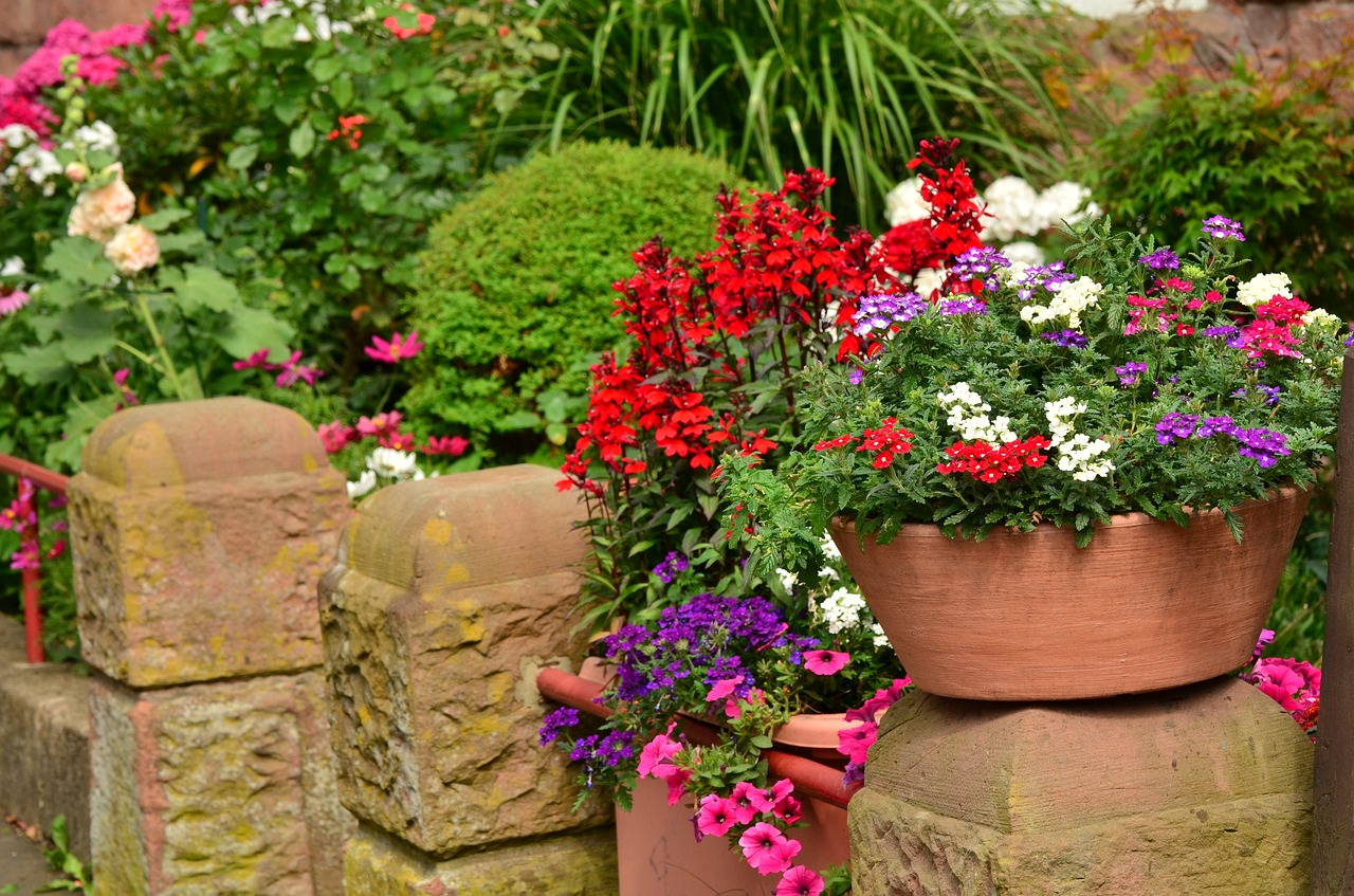 summer flowers balcony plants flowerpot free photo
