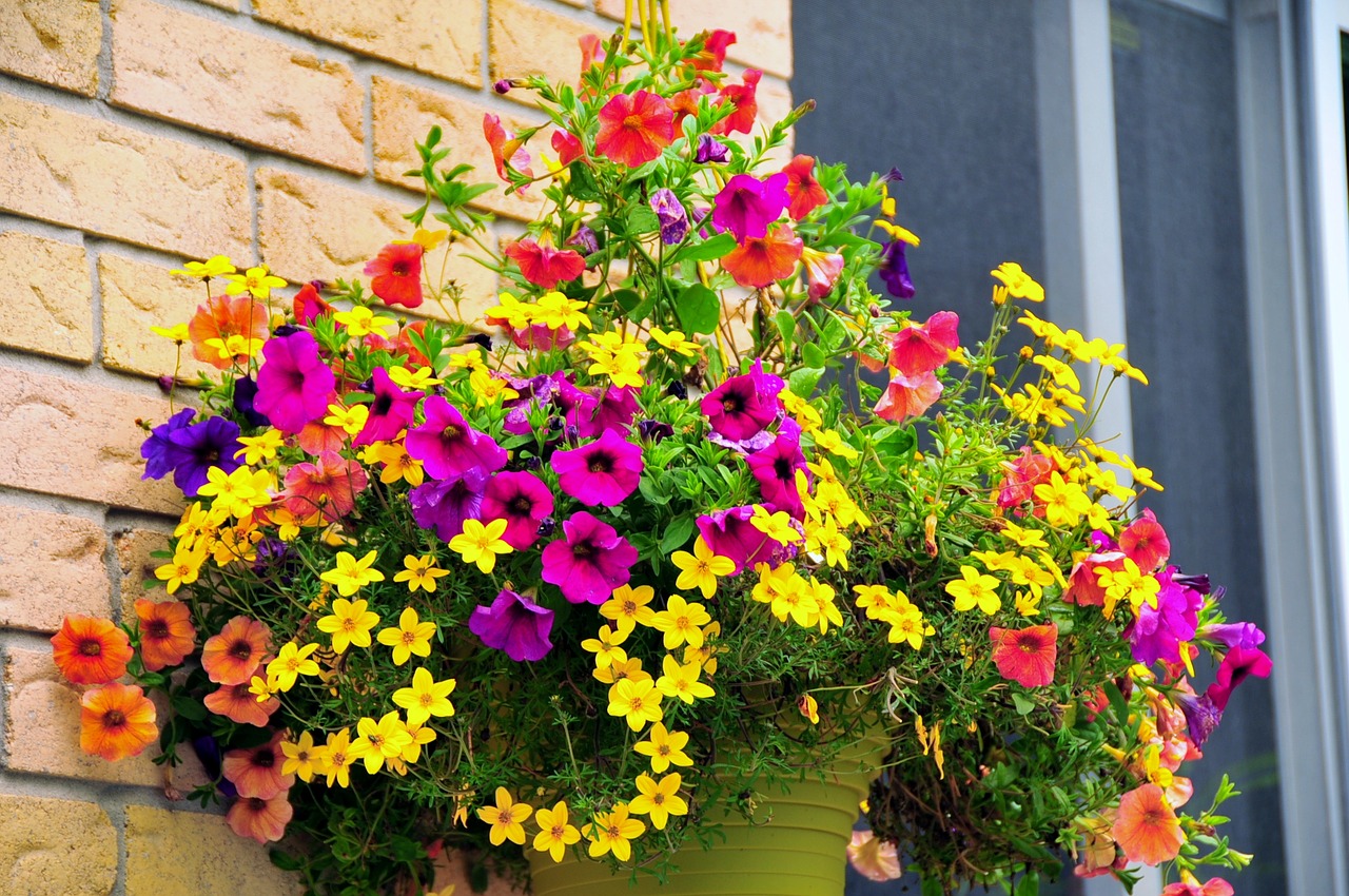 summer flowers flower basket floral free photo