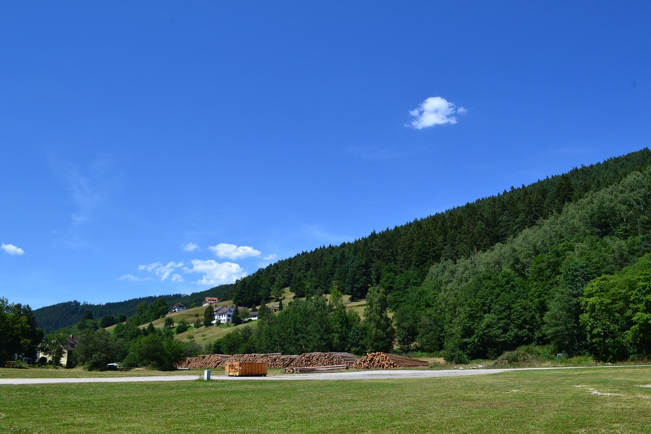 summer holiday black forest mountains free photo