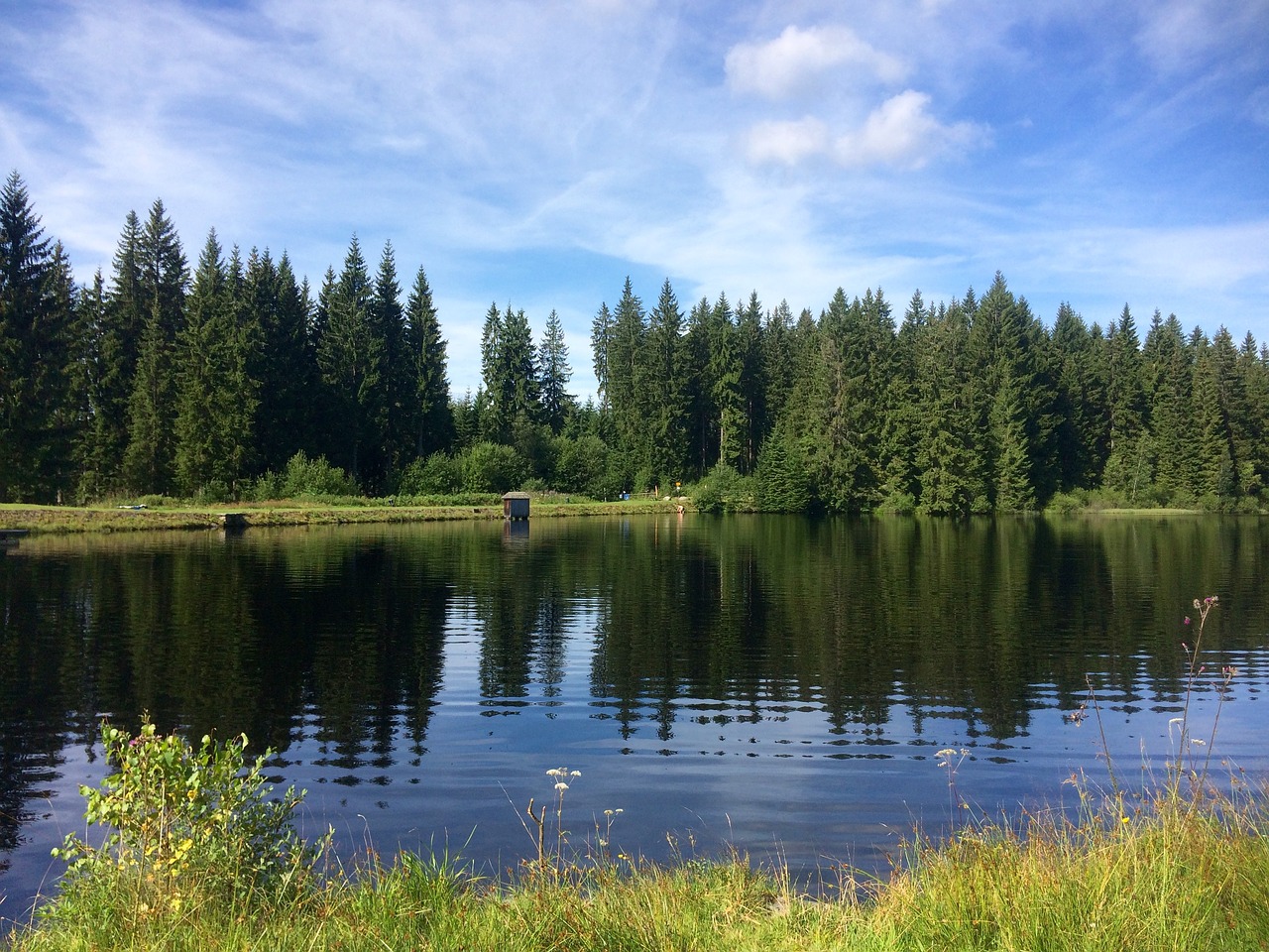 summer holiday lake water free photo