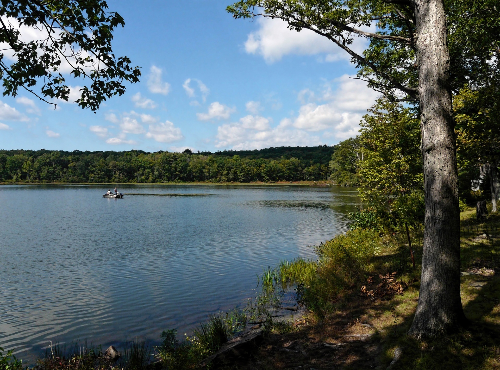 boat lake waterscape free photo