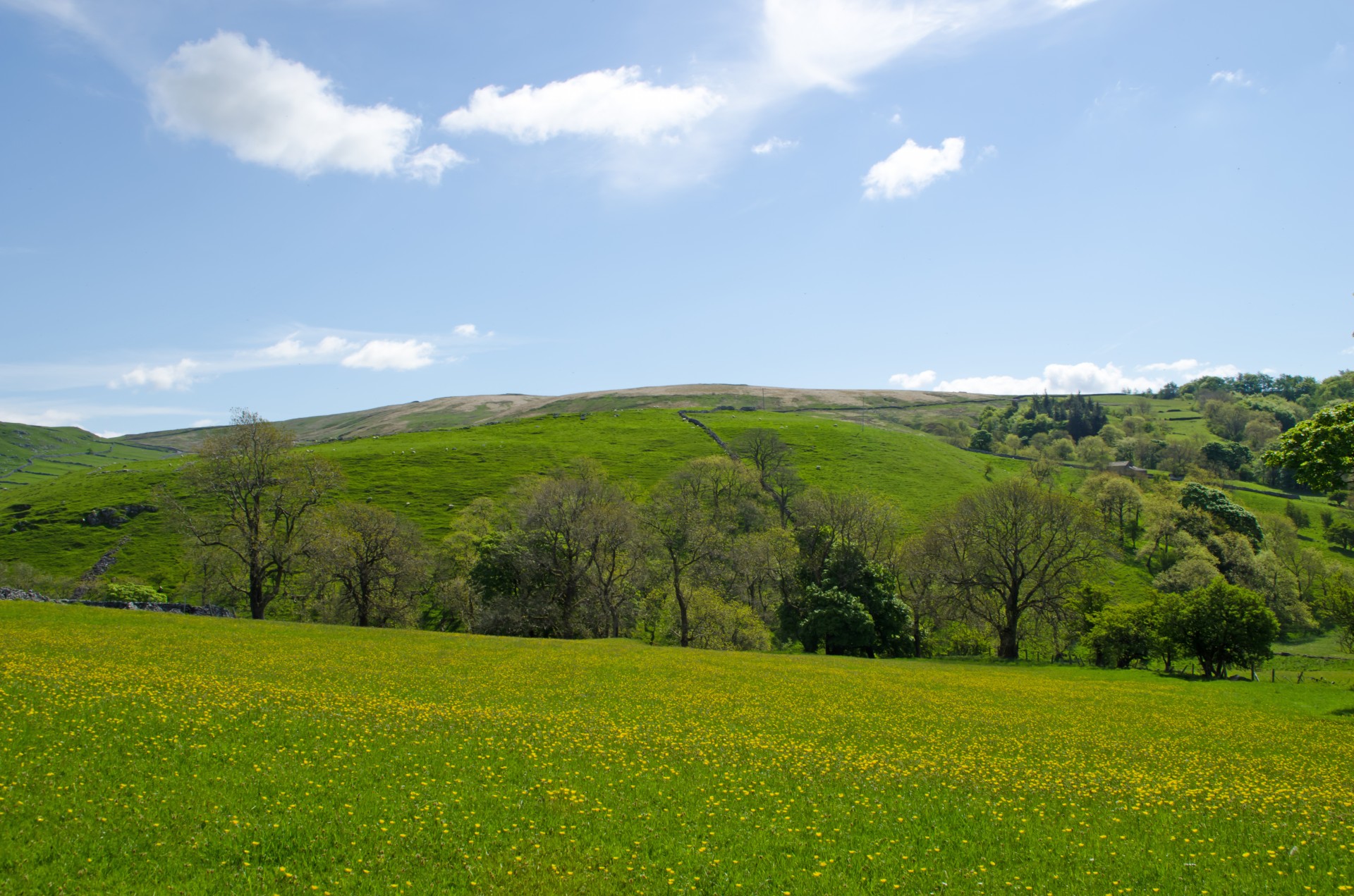 landscape fences spring free photo