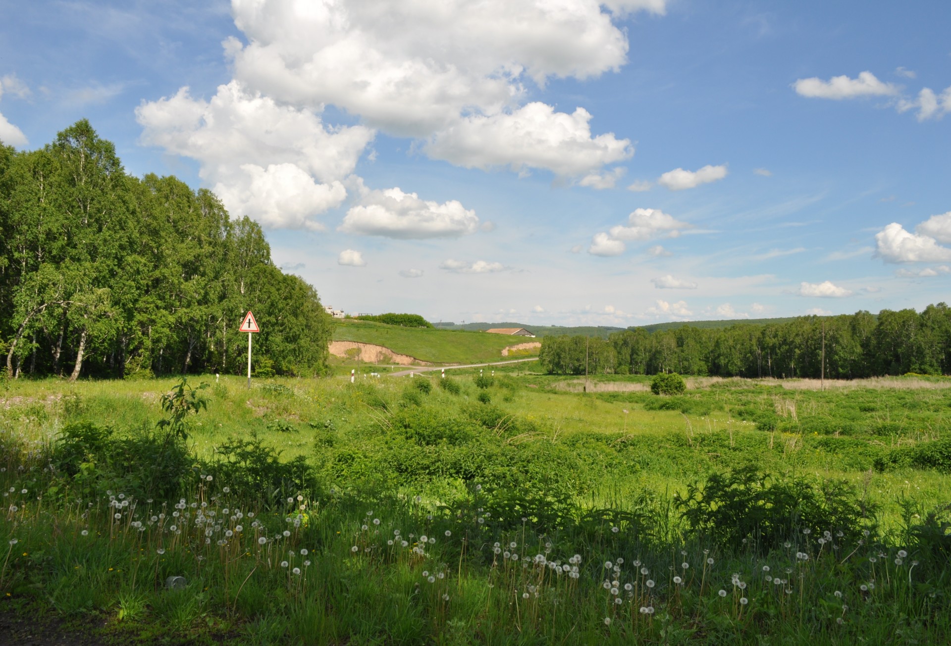 summer landscape nature free photo