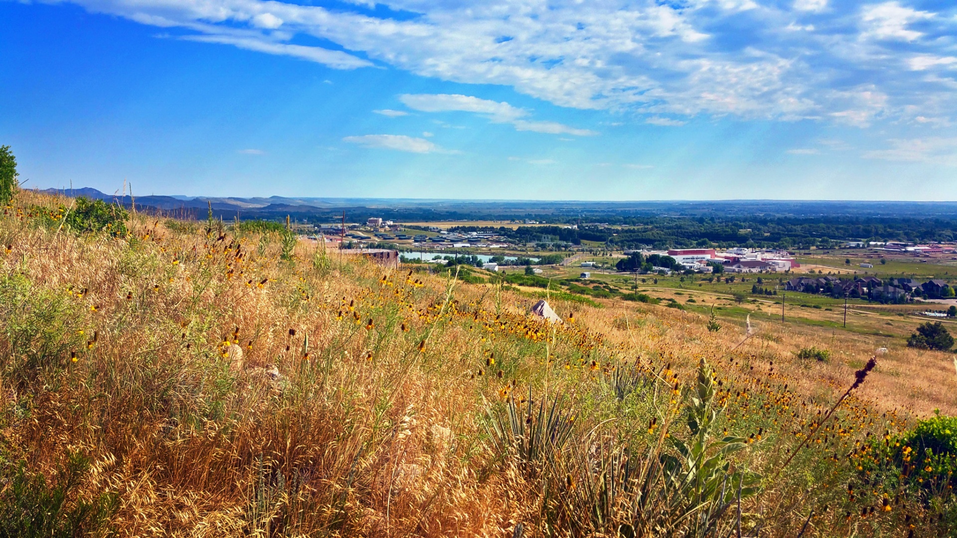 fort collins summer landscape free photo