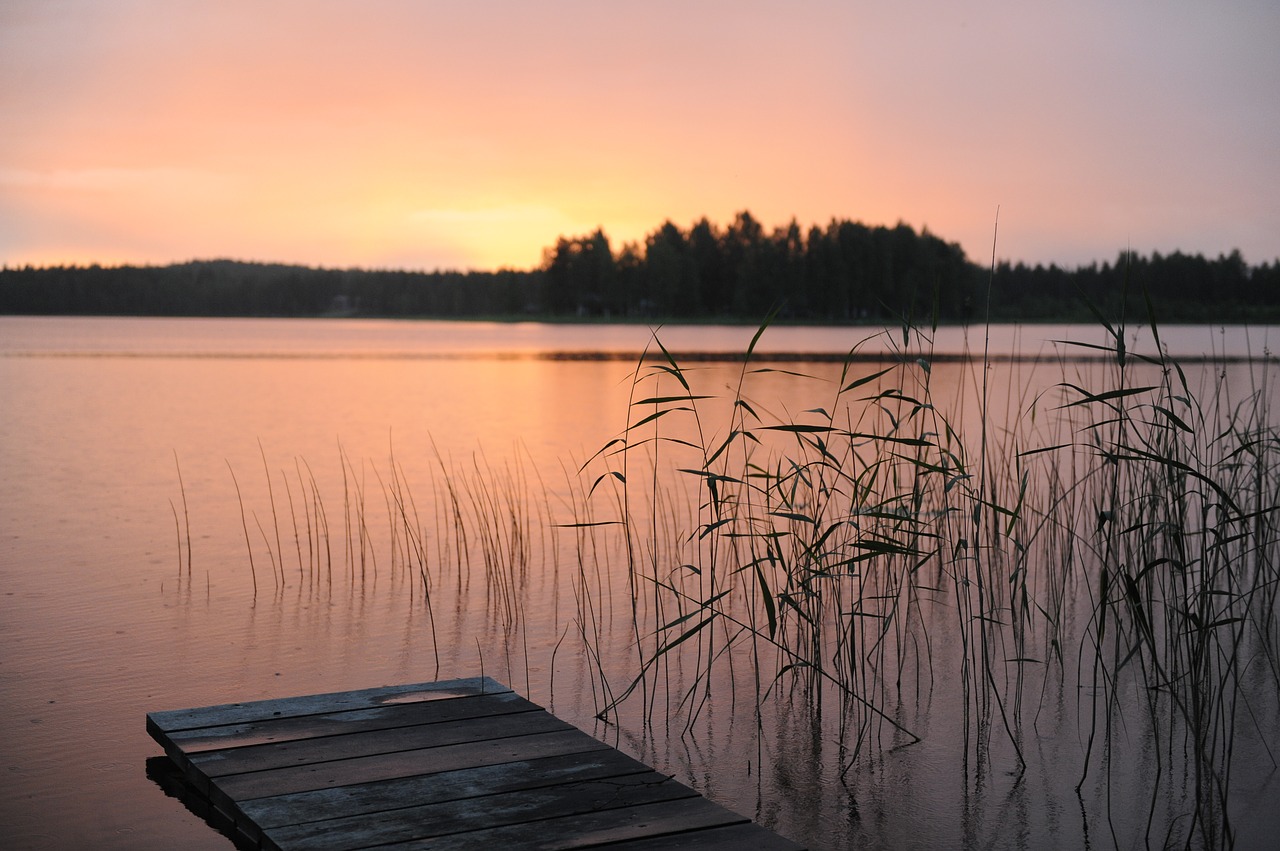 summer night norrland pink free photo