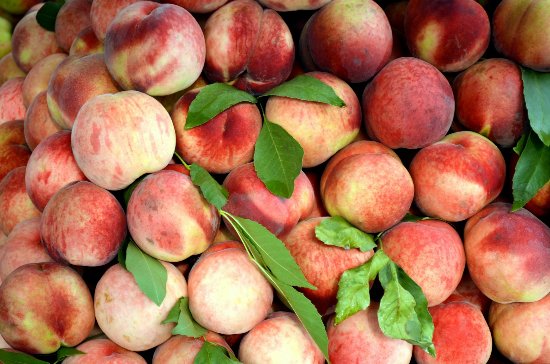 food fruit peach free photo
