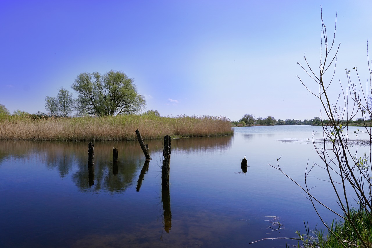 summer time  summer  lake free photo