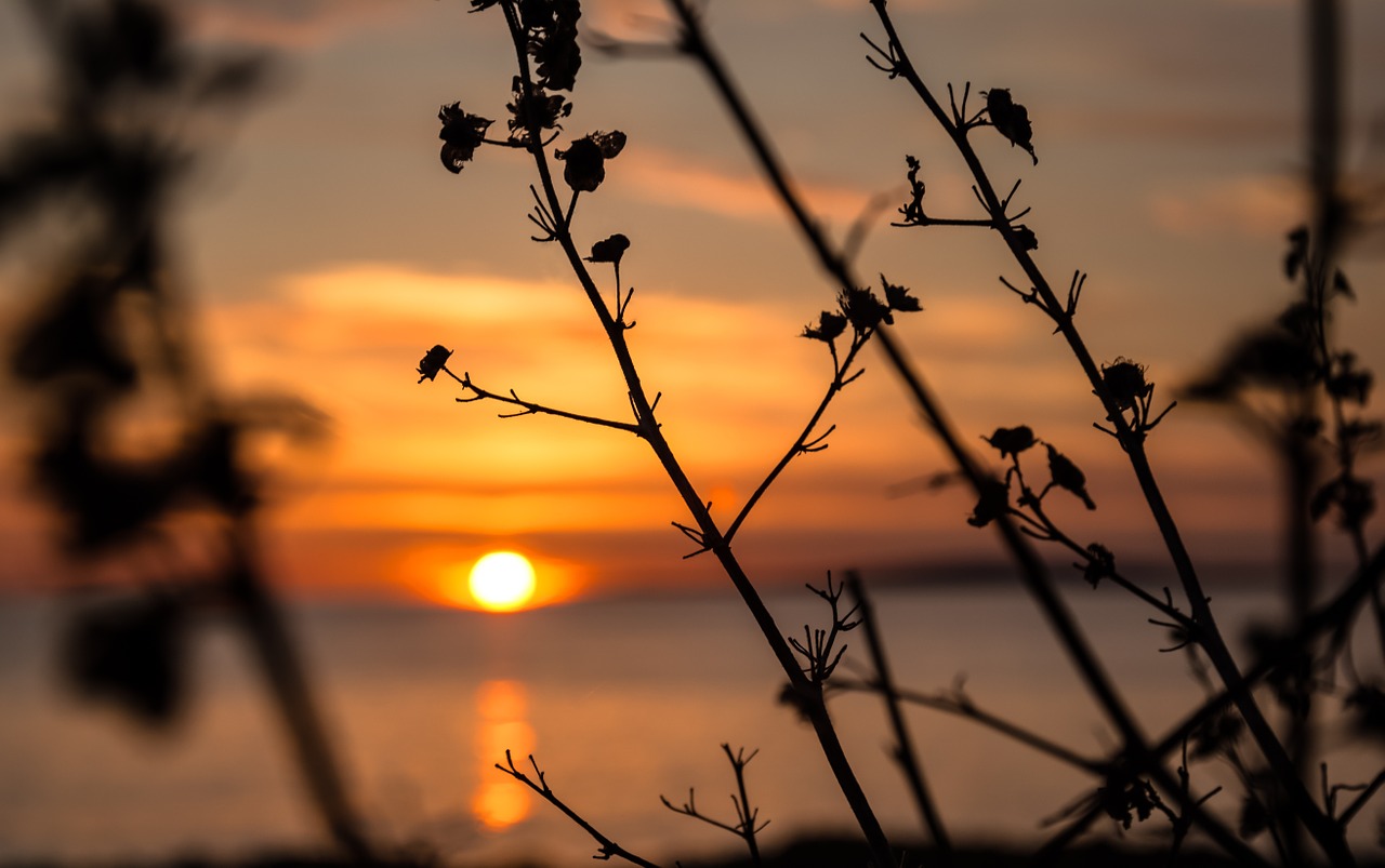 sun mallorca sea free photo