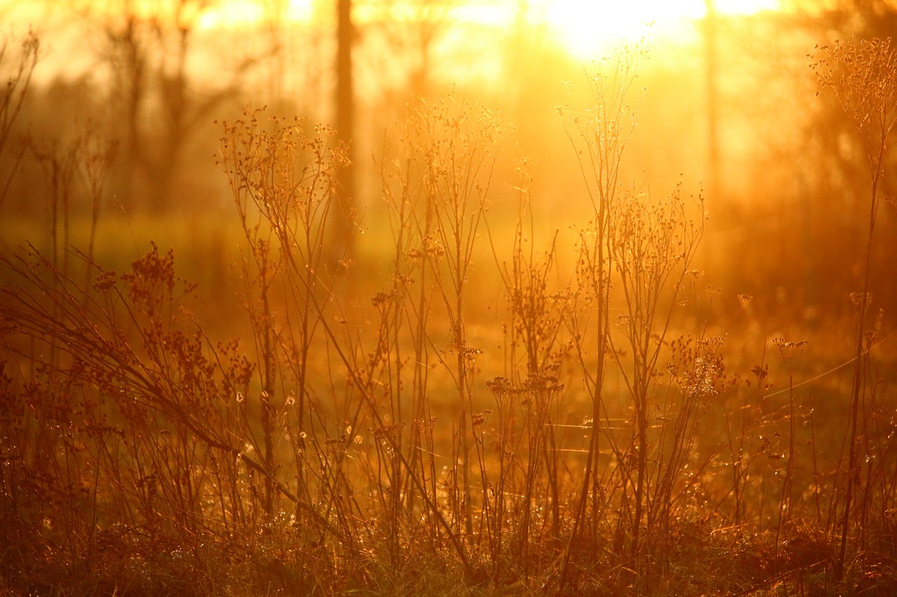 sun sunset light free photo