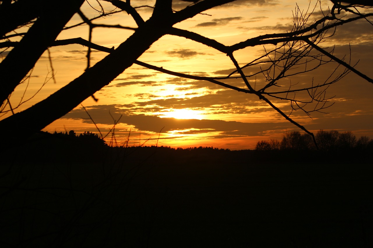 sun sunset evening sky free photo