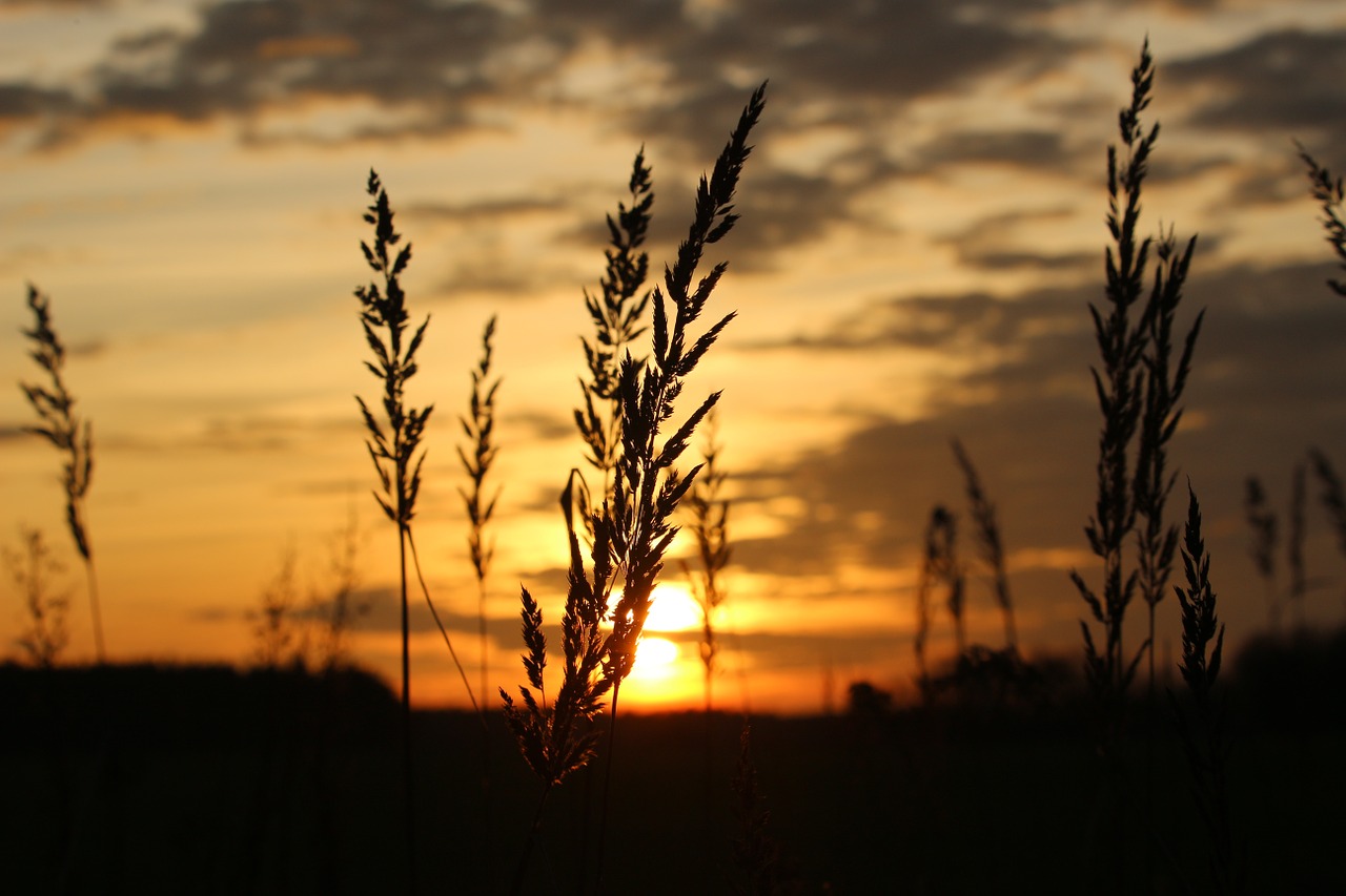 sun sunset evening sky free photo