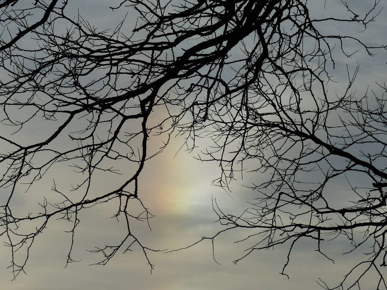 sun sundog parhelia free photo