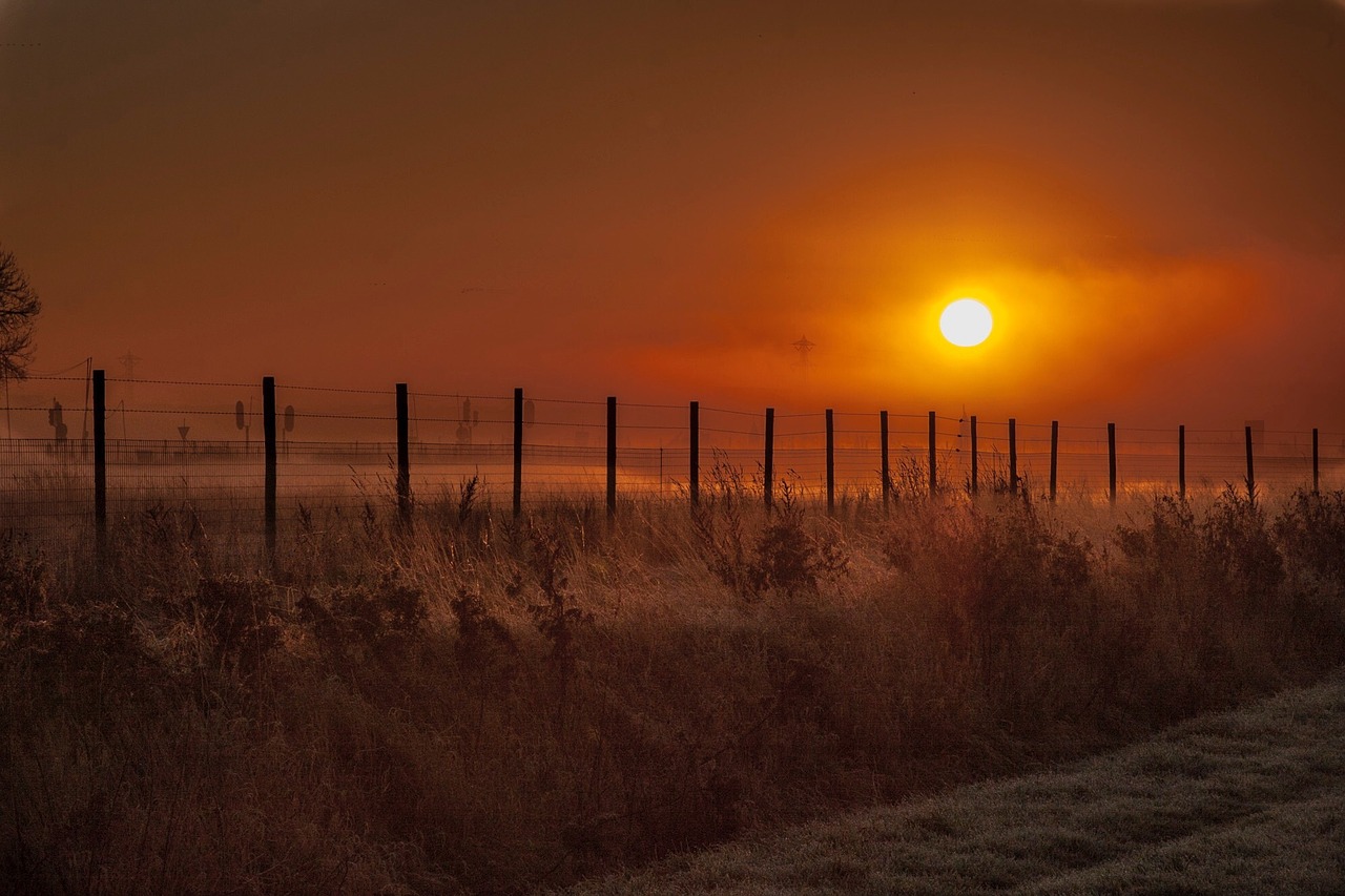 sun meadow morning free photo