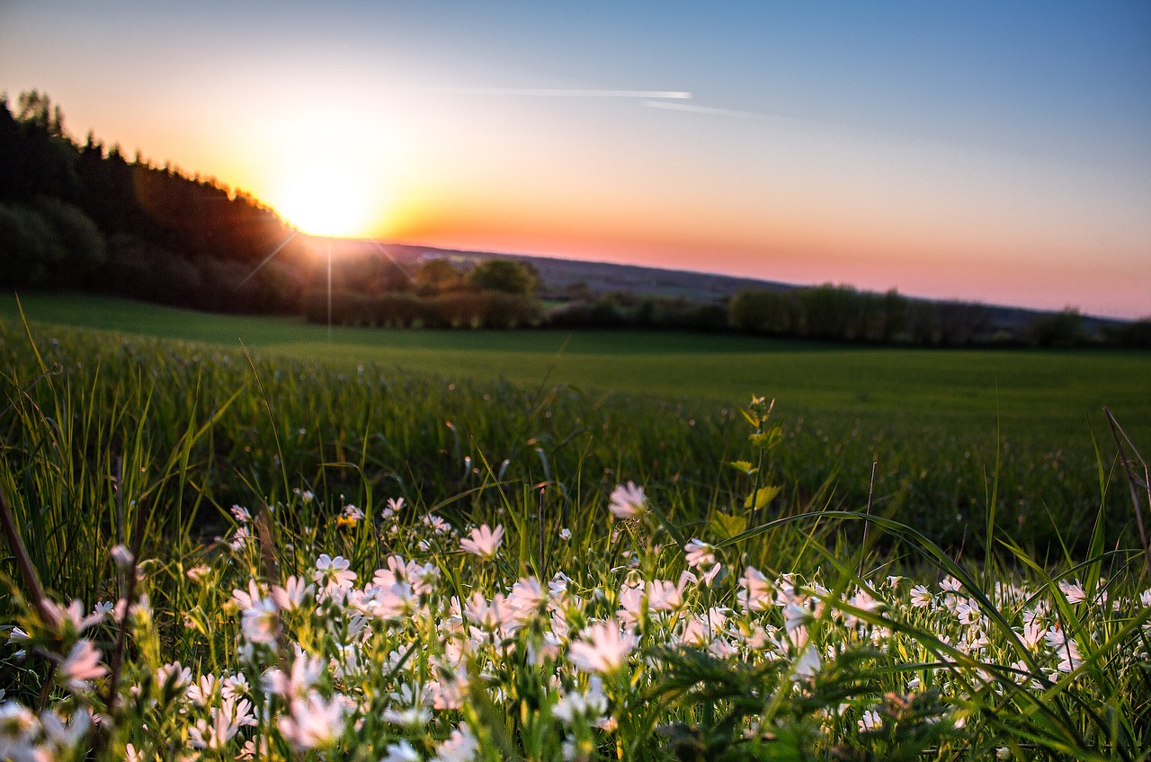 sun sunset abendstimmung free photo