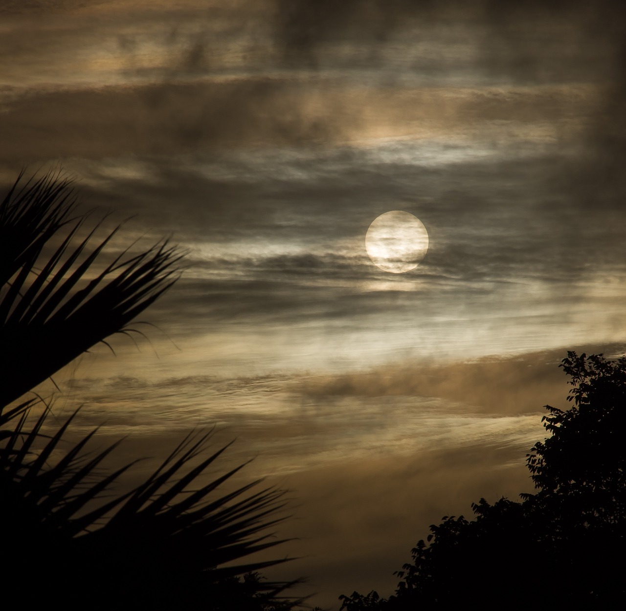 sun clouds sky free photo