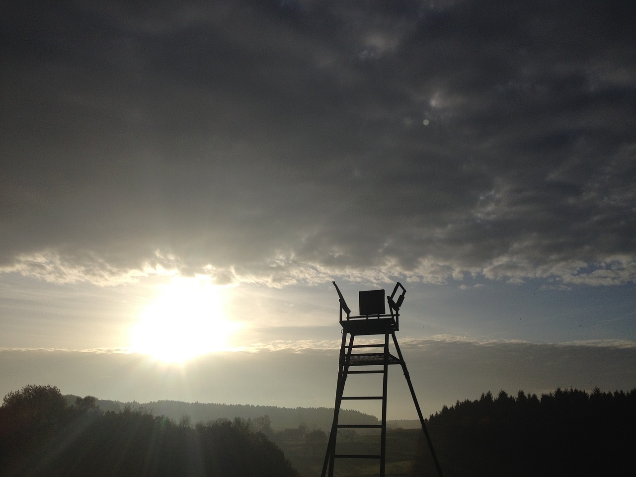 sun clouds perch free photo