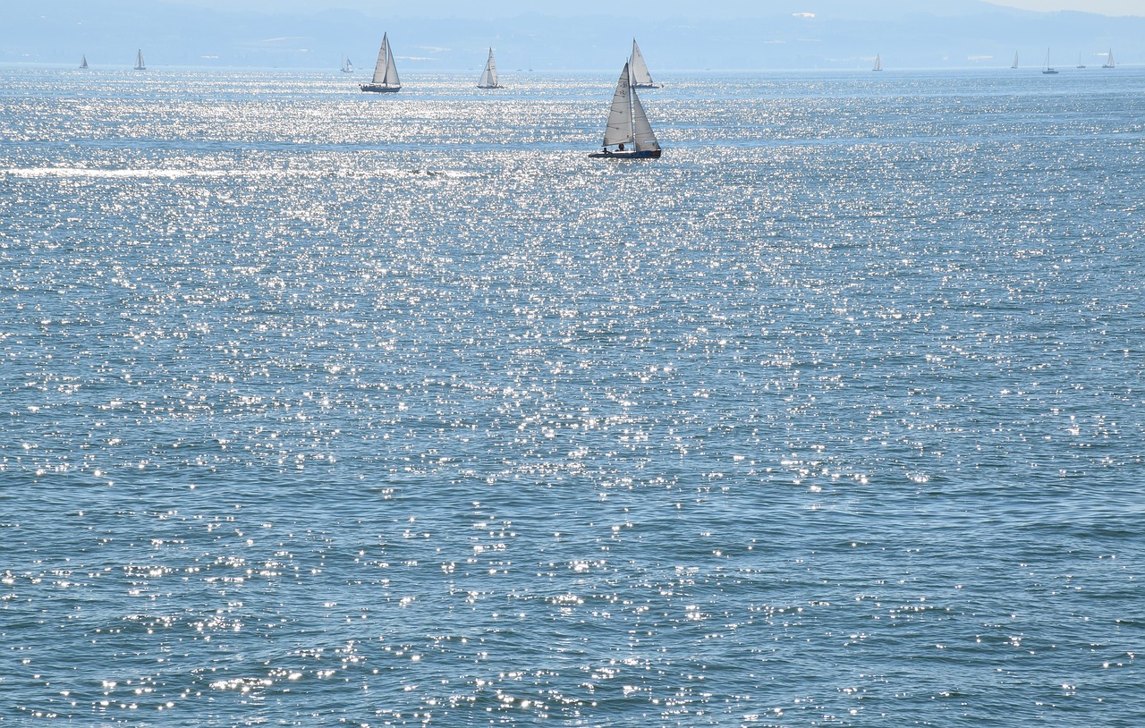 sun lake sailing boat free photo