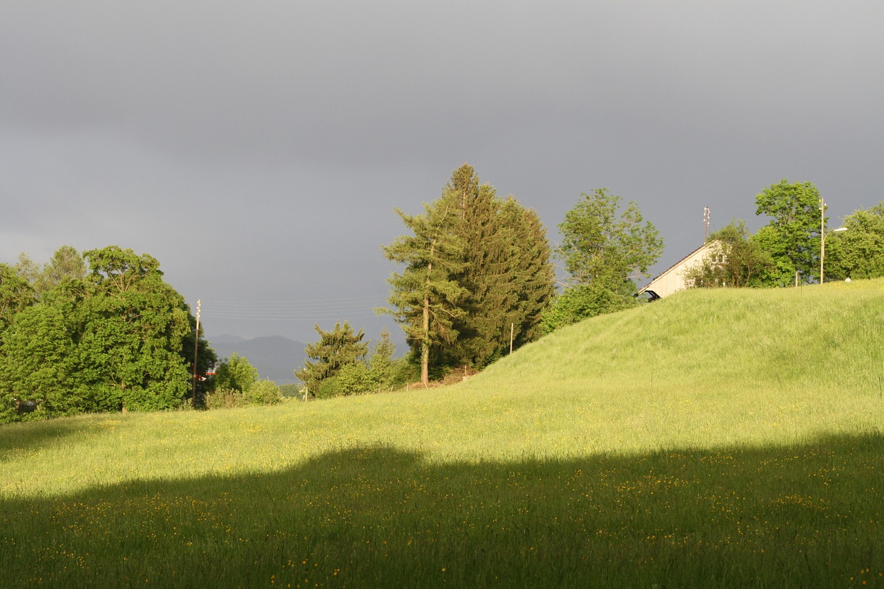 sun pasture clouds free photo