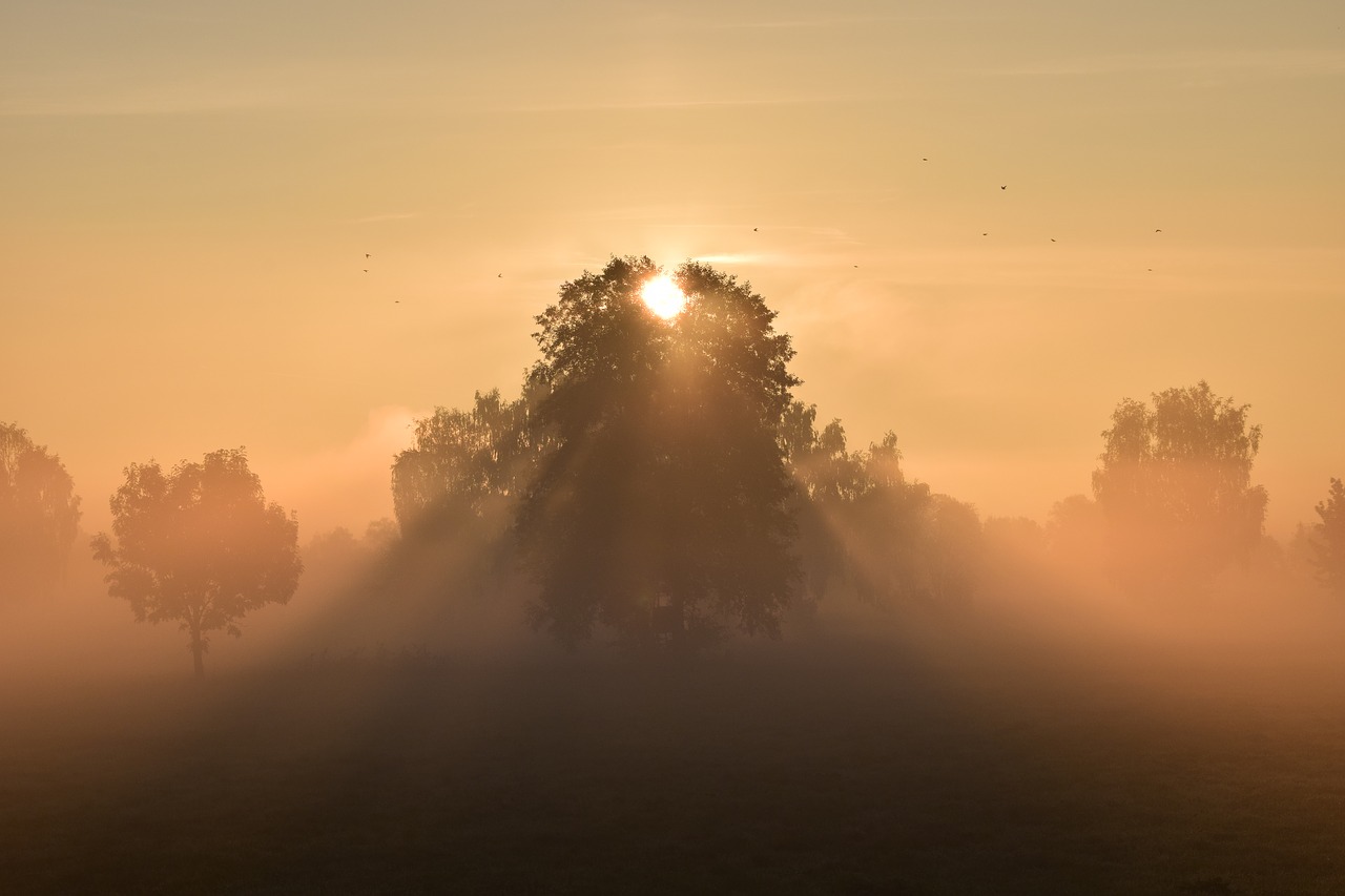 sun sunrise morgenrot free photo