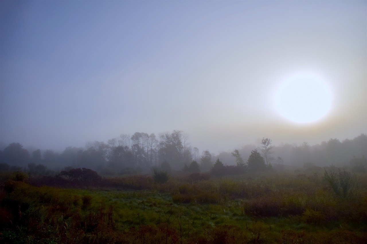 sun mist field free photo