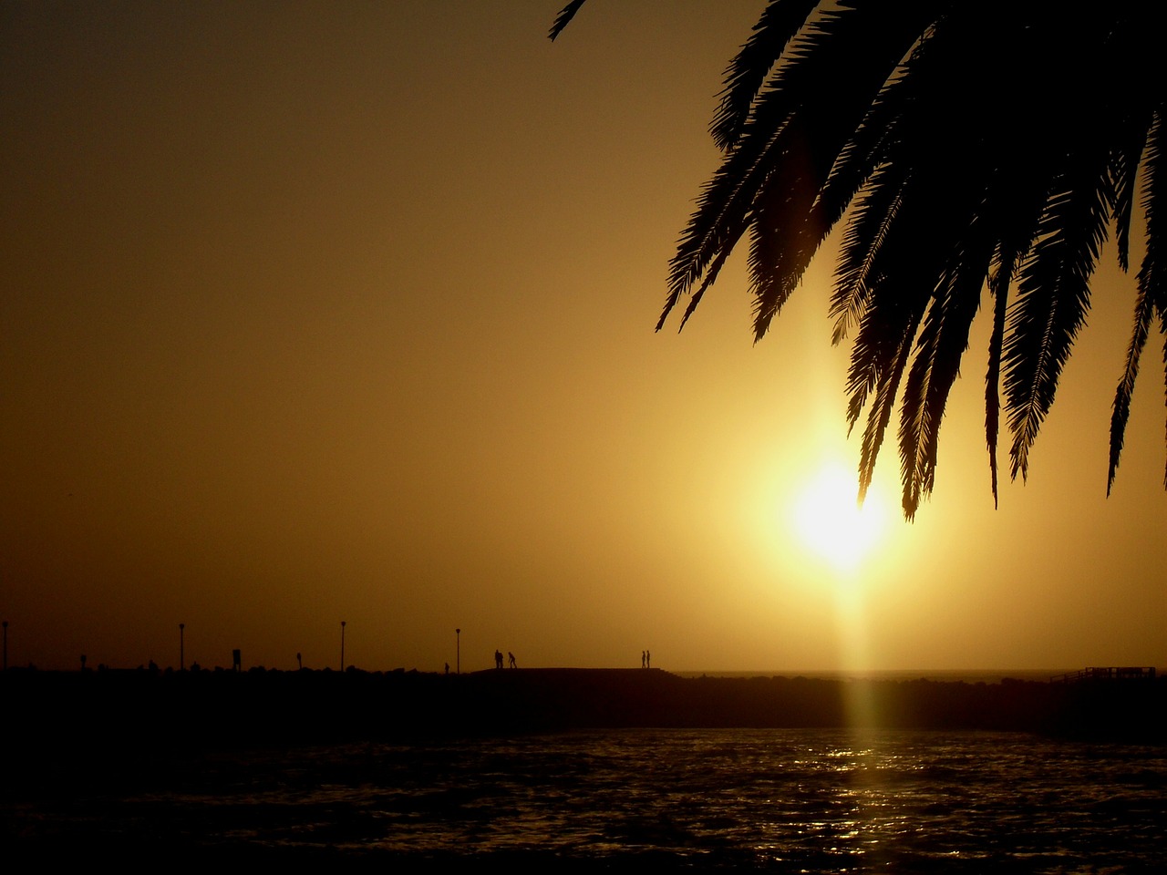 sun setting sky orange free photo