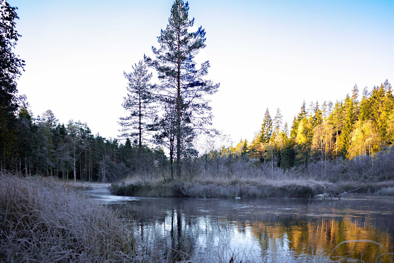 sun water sweden free photo