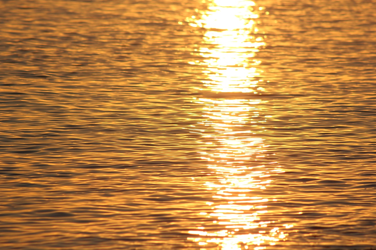 sun sunset reflection free photo