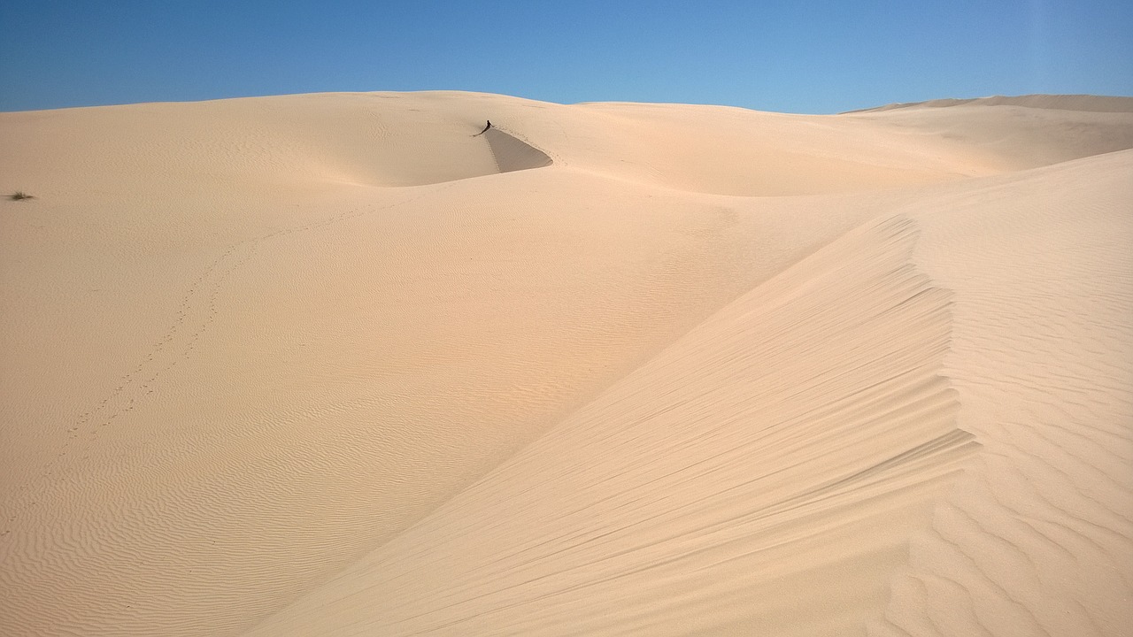 sun dune sand free photo