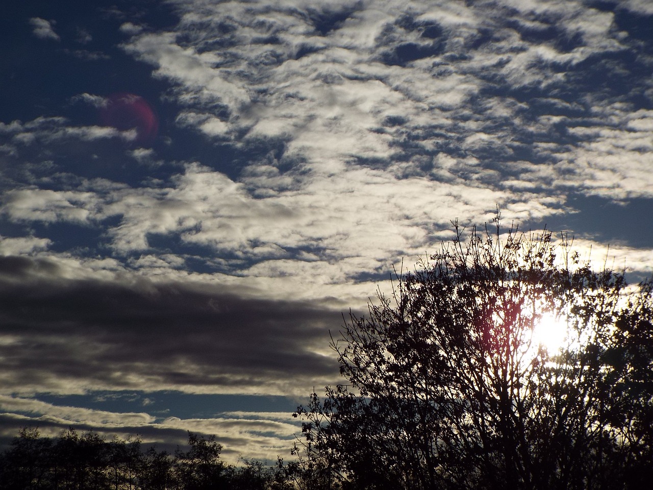 sun tree sunset free photo