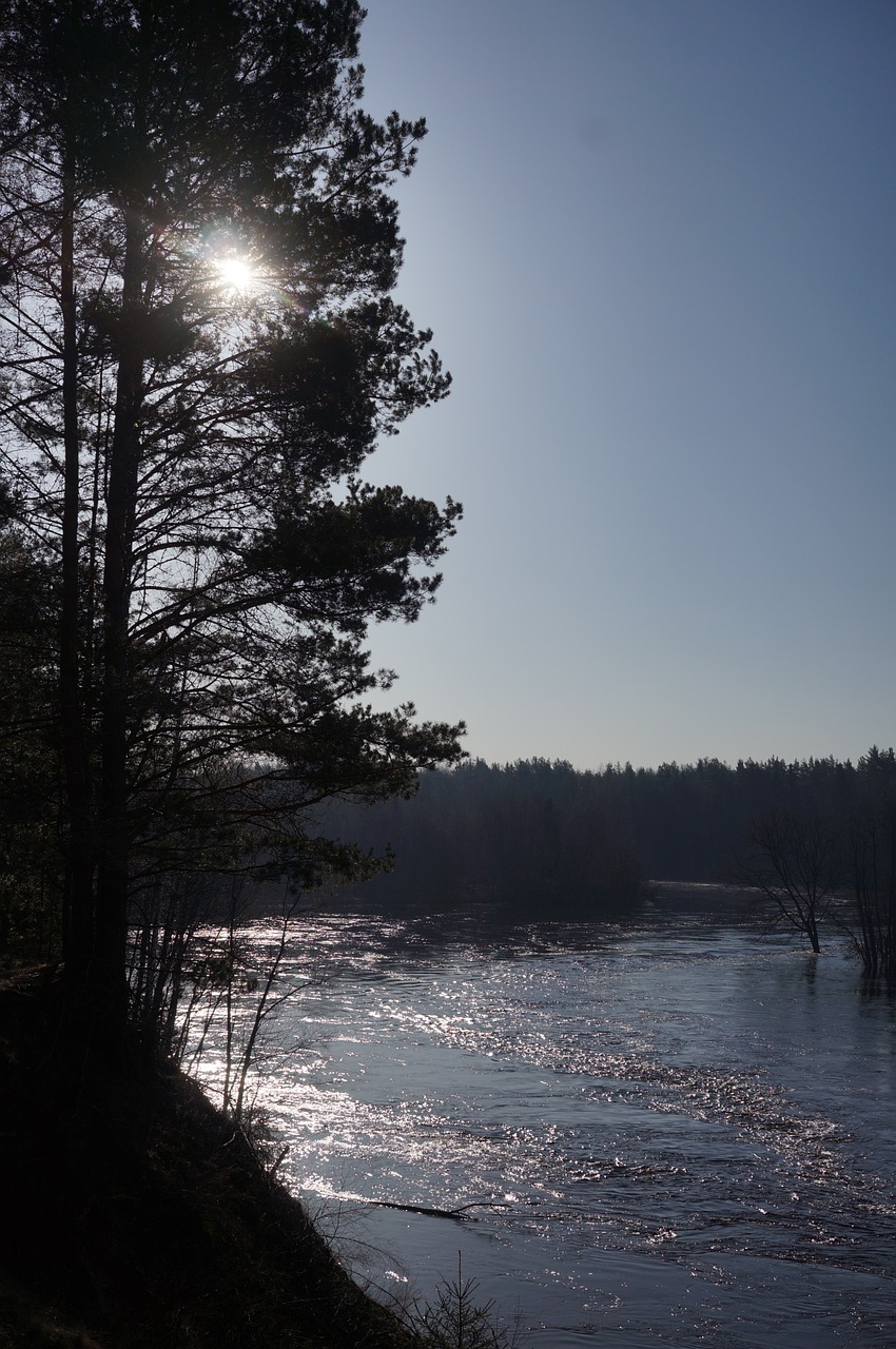 sun river water free photo