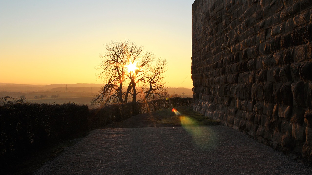 sun tree stone free photo