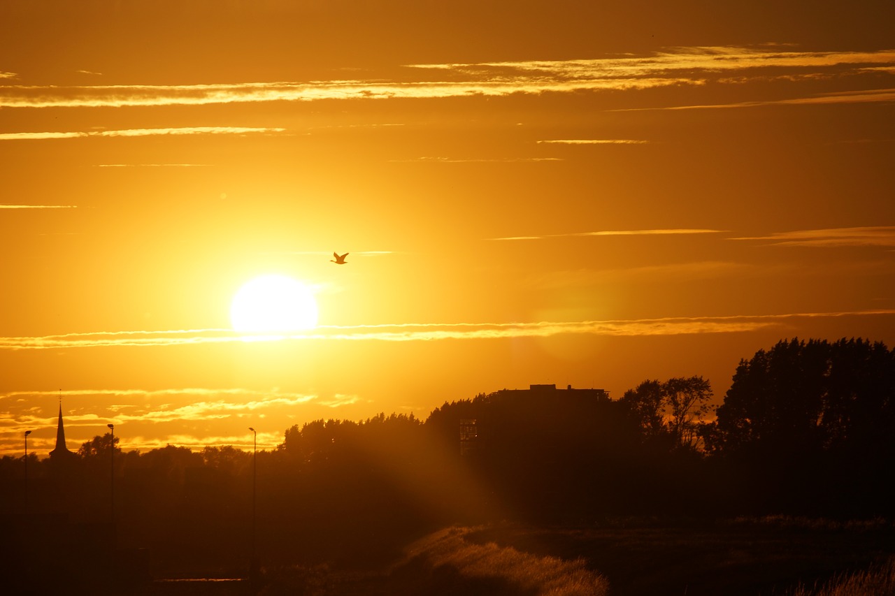 sun sunset evening free photo