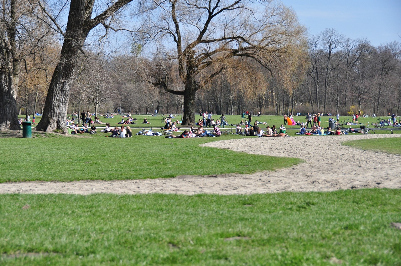 sun park meadow free photo