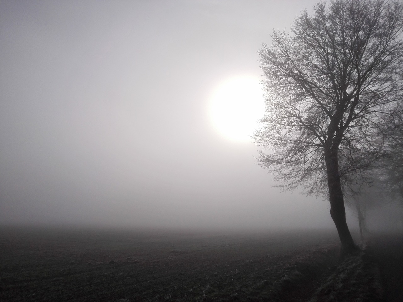 sun fog field free photo
