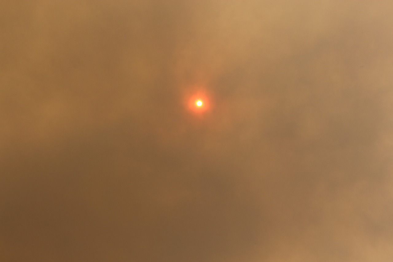 sun smoke bushfire free photo